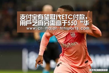 支付宝有望取代ETC付款,用户芝麻分需高于550“华体会体育”(图3) 华体会体育