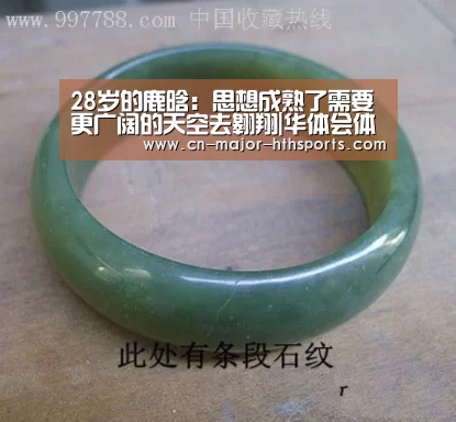 华体会体育